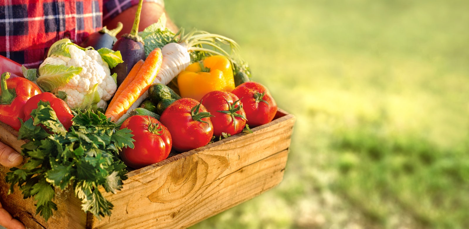 Where to find the organic food in Serbia